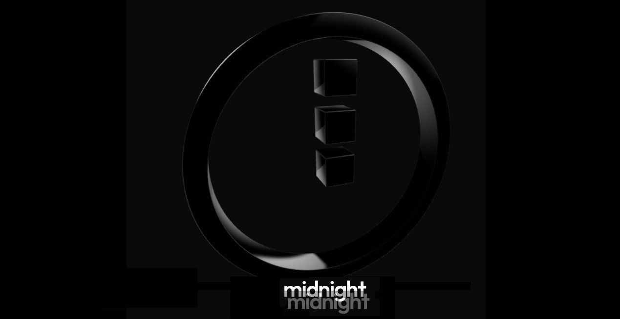 Manage Your Personal Data On Cardano With Midnight | AdaPulse