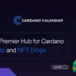 Cardano NFT Calendar​ | AdaPulse